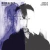 Dave Gahan & Soulsavers - Album Angels & Ghosts