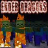 J Rice - Album Ender Dragons (Minecraft Parody of Radioactive)