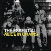 Alice In Chains - Album The Essential Alice In Chains