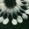 http://s.mxmcdn.net/images-storage/albums/4/6/0/9/1/0/27019064.jpg