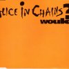 Alice In Chains - Album Would?