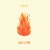Kaleo - Album Like a Fire