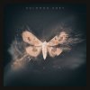Solomon Grey - Album Solomon Grey