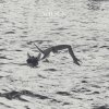 Wilsen - Album Magnolia EP
