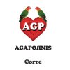 Agapornis - Album Corre