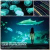 http://s.mxmcdn.net/images-storage/albums/4/9/4/8/4/9/26948494.jpg