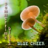 Album Summertime Blues