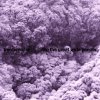 http://s.mxmcdn.net/images-storage/albums/5/0/2/0/0/5/29500205.jpg