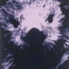 THE YELLOW MONKEY - Album 楽園