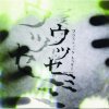 http://s.mxmcdn.net/images-storage/albums/5/0/2/7/6/0/28067205.jpg