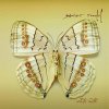 http://s.mxmcdn.net/images-storage/albums/5/0/4/4/4/5/11544405.jpg