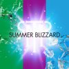 T.M.Revolution - Album Summer Blizzard