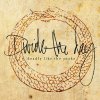 Divide the Day - Album Deadly Like the Snake