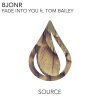 Bjonr feat. Tom Bailey - Album Fade into You