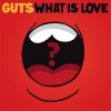 Guts - Album What Is Love?