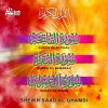 Sheikh Saad Al Ghamdi - Album Recitation from the Quran