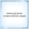 Miracle of Sound - Album When Winter Comes