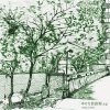 http://s.mxmcdn.net/images-storage/albums/5/1/6/0/4/6/31640615.jpg