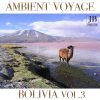 Fly Project - Album Ambient Voyage: Bolivia, Vol. 3