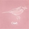 Odett - Album Jó Nagy Csend