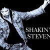 Album The Epic Masters: Shakin' Stevens