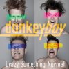 Donkeyboy - Album Crazy Something Normal