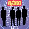 Buzzcocks - Album Live