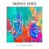 Skinny Days - Album In a Good Way