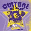 Album Culture & the Deejay's At Joe Gibbs