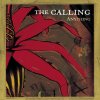 The Calling - Album Anything