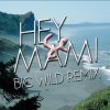 Big Wild - Album Hey Mami - Sylvan Esso (Big Wild Remix)