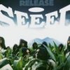 Album Release