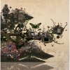 짙은 (Zitten) - Album 짙은