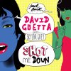 David Guetta feat. Skylar Grey - Album Shot Me Down