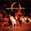 A Perfect Circle - Album Passive