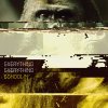 Everything Everything - Album Schoolin'