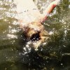 http://s.mxmcdn.net/images-storage/albums/5/6/8/4/3/8/30834865.jpg