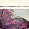 Echo & The Bunnymen - Album Never Stop