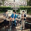 Spoonfulz - Album Yin Dee Ton Rub