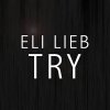 Eli Lieb - Album Try