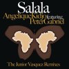 Album Junior Vasquez (Salala Remixes)