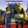 Counting Crows - Album Accidentally in Love