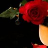 http://s.mxmcdn.net/images-storage/albums/5/8/8/5/8/8/30885885.jpg