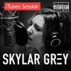 Skylar Grey - Album iTunes Session