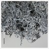 The National - Album Exile Vilify (From the Game 
