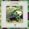 Espen - Album Hedgehog