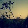 Wankelmut - Album One Day