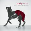 Curly Heads - Album Ruby Dress Skinny Dog