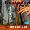 http://s.mxmcdn.net/images-storage/albums/6/0/6/2/4/9/27942606.jpg