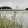 Siam - Album Same Thing (Prod. Faisal)